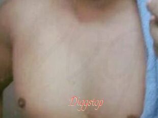 Diggstop