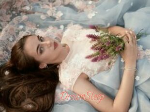 DreamSleep
