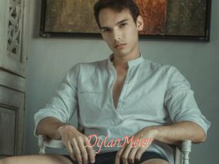 DylanMeier