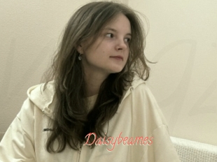 Daisybeames