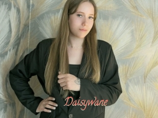 Daisywane