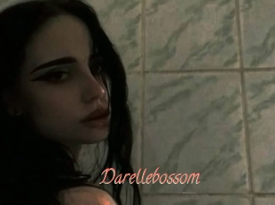 Darellebossom
