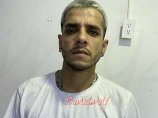 Daviidwolf
