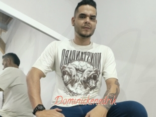 Dominickenedrik