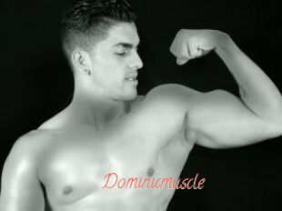 Dominicmuscle