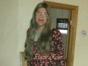 Elantra_Rose
