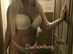 ElsaSnowbunny