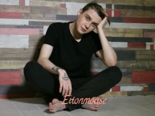 Eitonmouse