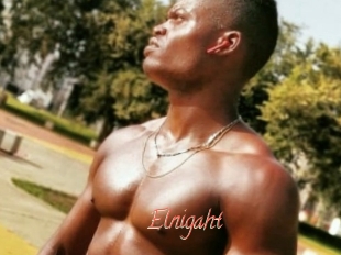 Elnigaht