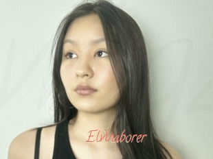Elvinaborer