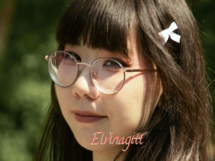 Elvinagitt