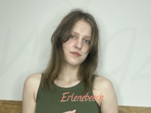 Erlenebeech