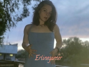 Erlineganter