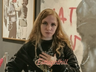 Esmagledhill