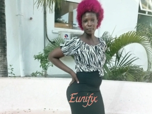 Eunifix