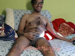 FatBrownHairyGuy