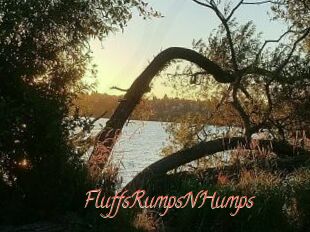 FluffsRumpsNHumps