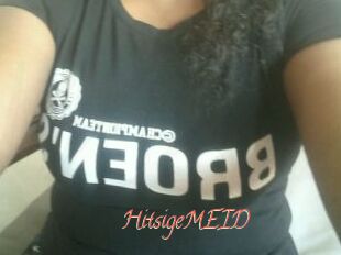 HitsigeMEID