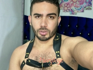 Hairyboyx