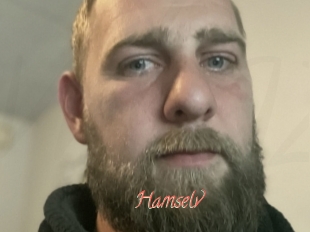 Hamselv