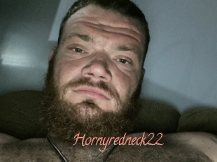 Hornyredneck22