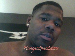 Hungandhandsome