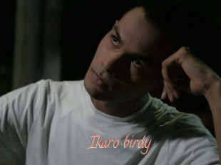 Ikaro_birdy