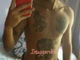 Imagopervert