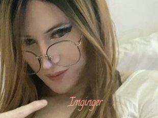 Imginger