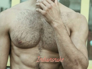 Indiansnake