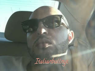 Italianbullnyc