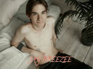 JAY_BREEZEE