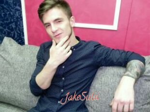 JakeSulii