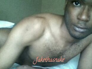 Jake_tha_snake