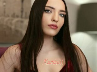 Kamisill