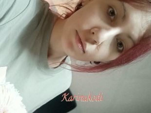 Karinakodi