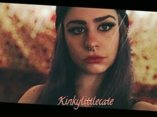 Kinkylittlecate