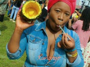 Kiwiginger