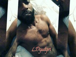 LDgadget