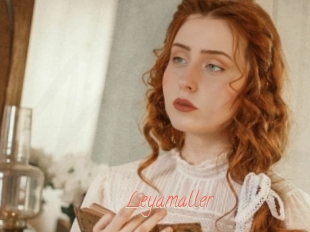 Leyamaller