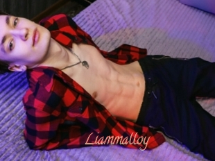 Liammalloy