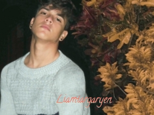 Liamtargaryen