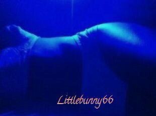 Littlebunny66
