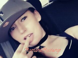 MontanaMustange