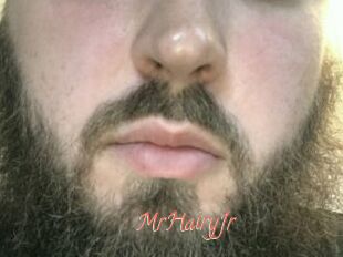 MrHairyJr