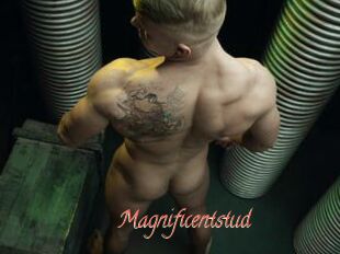 Magnificentstud