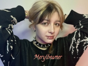 Merylbeamer