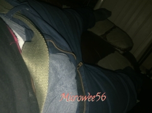 Microwee56