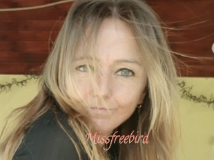 Missfreebird