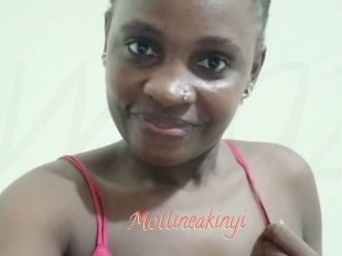 Mollineakinyi